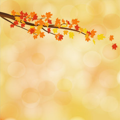 Leinwandbilder - Branch with leaves on a beautiful autumn background