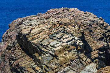 Wall Mural - layered and fractured rock on small island near Bonavista, Newfoundland