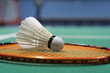closeup beside white shuttle cock badminton drop on green polymer floor court with copy space.