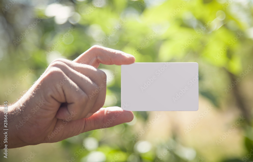 Male hand holding empty business card in nature. - obrazy, fototapety, plakaty 