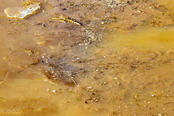 Wall Mural - Ice on dirty water as an abstract background