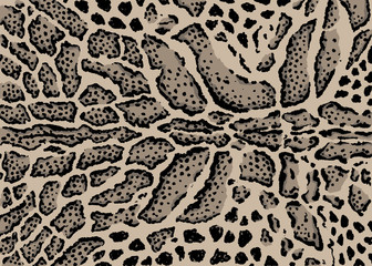 Poster - Clouded leopard skin pattern design. Leopard spots print vector illustration background. Wildlife fur skin design illustration for print, web, home decor, fashion, surface, graphic design