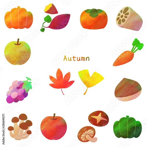 秋のモチーフ小物セット 秋野菜 フルーツ きのこ 水彩風 Stock イラスト Adobe Stock