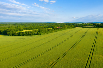 La campagne française et une forêt au milieu des champs