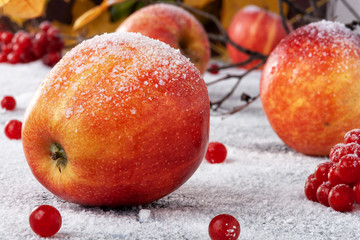 Striped apples sprinkled with powdered sugar. The dish simulates apples in the snow