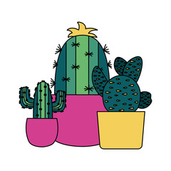 Canvas Print - Isolated cactus inside pots vector design