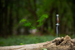 © pentium5 - Travel knife on wood with forest background.