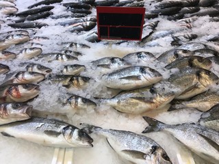 fresh fish at the market