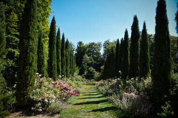 Wall Mural - parc floral