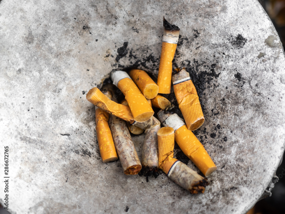 ld cigarettes com rewards sign up online Forgot Password  Official Website for LD Cigarettes USA