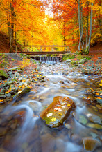 Autumn Landscape - Old Wooden Bridge Fnd River Waterfall In Colorful Autumn Forest Park With Yellow Leaves