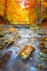 Wall Mural - autumn landscape - old wooden bridge fnd river waterfall in colorful autumn forest park with yellow 