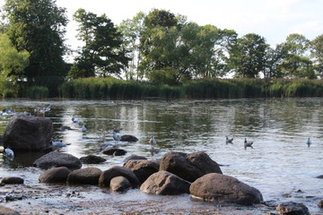 Wall Mural - Stone embankment on the background of the sea