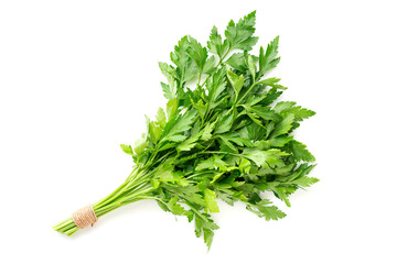 bunch of fresh parsley isolated on white background