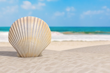 Aufkleber - Summer Vacation Concept. Beauty Scallop Sea or Ocean Shell Seashell on an Ocean Deserted Coast. 3d Rendering
