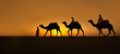 Rajasthan travel background - Three indian cameleers (camel drivers) with camels silhouettes in dunes of Thar desert on sunset. Jaisalmer, Rajasthan, India