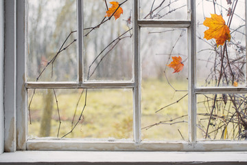 autumn landscape on old window