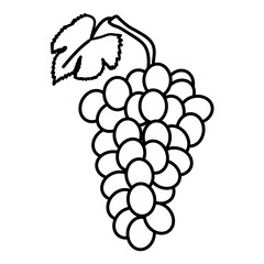 Poster - fresh grapes fruits nature icon