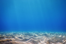 Underwater Blue Ocean, Sandy Sea Bottom Underwater Background