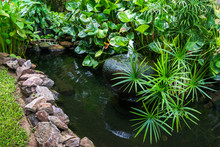 Decorative Pond With Fountain In Garden