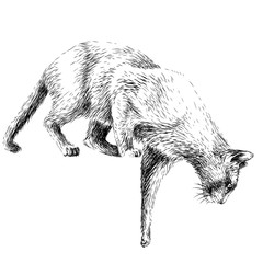 Wall Mural - the cat jumps down. wall sticker depicting a jumping cat.