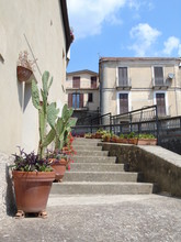 View Of An External Staircase With Vases Of Various Plants And Prickly Pear In Taverna (Calabria - Italy) 
