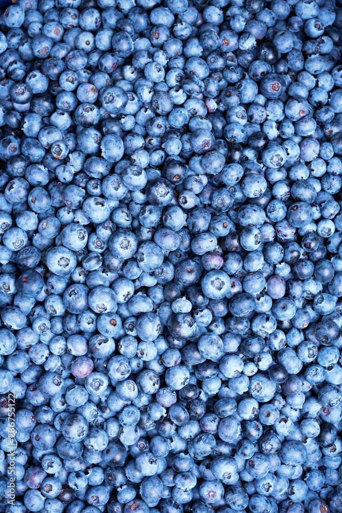 Fresh blueberries background with copy space for your text. Border ...