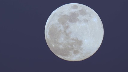 Wall Mural - full moon handheld camera motion and some atmospheric distortions, shot at 1200mm