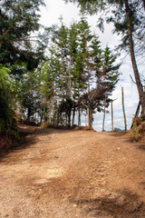 Caminos - Vereda la Peña, La Mancha.