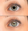 A closeup view on green eyes of a pretty young girl. Collage comparing the black pupil, one image shows an enlarged pupil and one shows a reduced pupil. Pupillary light reflex in humans.