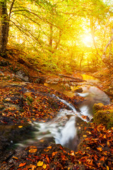 Beautiful autumn landscape with a waterfall in the autumn forest.