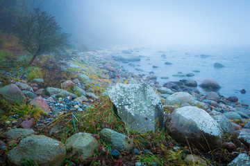  Nebel an der Küste auf Insel Rügen - Ostsee im Herbst