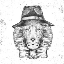 Hipster Animal Lion With Hat. Hand Drawing Muzzle Of Lion