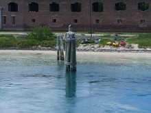 Posts In The Water Tied With Ropes, With Fort Jefferson In The Background, Dry Tortugas National Park, Florida.