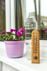 Wall Mural - Temperature for plants on the balcony. Thermometer and room flower.