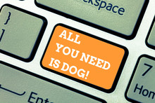 Writing Note Showing All You Need Is Dog. Business Photo Showcasing Get A Puppy To Be Happier Canine Lovers Cute Animals Keyboard Key Intention To Create Computer Message Pressing Keypad Idea