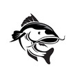 swimming Jump catfish art logo design inspiration
