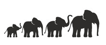 Set Of Different Elephant Silhouettes. Vector