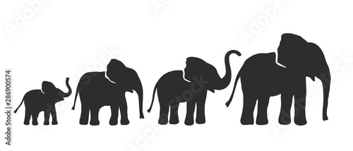 Cuadros en Lienzo Set of Different Elephant Silhouettes. Vector