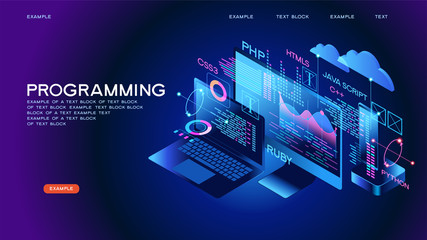 Canvas Print - Programming web banner