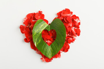 Wall Mural - Green and red Leaf in Heart shape over White Background