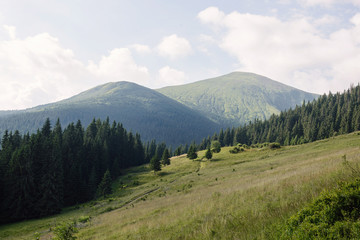 Wall Mural - image of a mountain range, forest and lawns