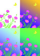Vector illustration of pink flowers. Set on different backgrounds.