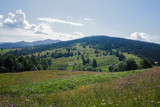 Fototapeta Krajobraz -  Carpathian landscapes. Meadows, hills, forests and mountains of the Carpathians.