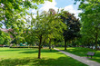 Green Space and Walkway at Raymond Park in Suburban Evanston Illinois