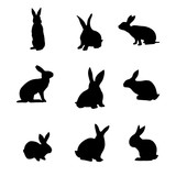 Fototapeta Dinusie - Isolated rabbits on the white background. Rabbits silhouettes. Vector EPS 10.