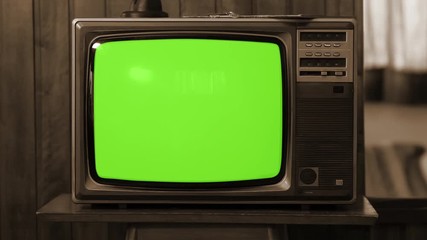vintage television set green background with noise and static. sepia tone. you can replace green scr