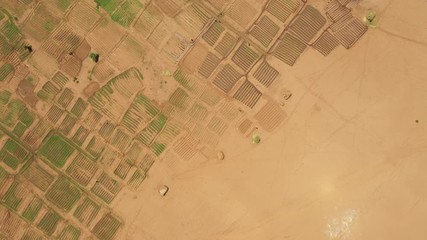 overhead aerial view of small irrigated rural fields contrasting with dry desert landscape in omorat
