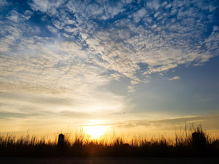 Wall Mural - beautiful skyscape clear blue sky and golden cloud background during sunset. clearing day and good w