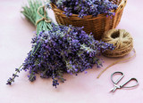 Fototapeta Lawenda - Bunch of lavender